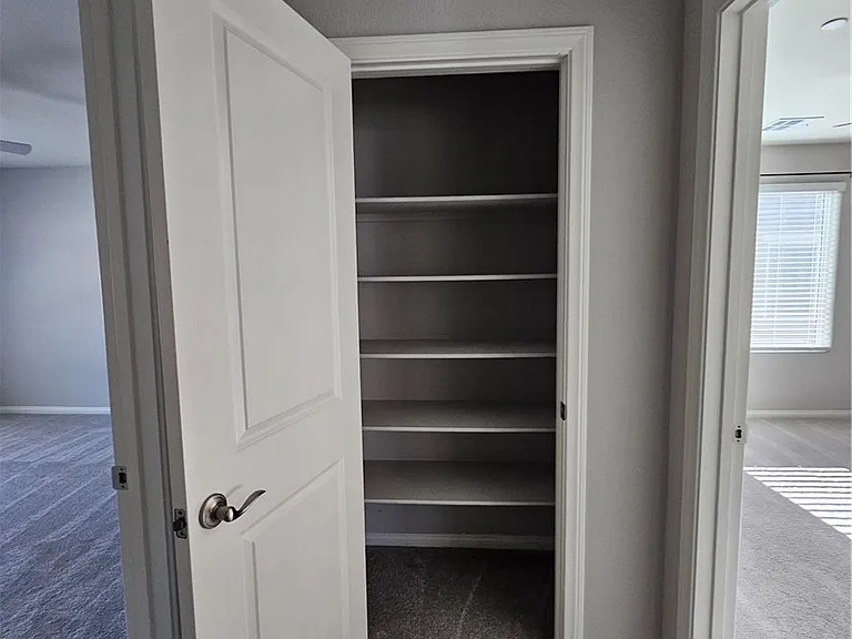 10790 Wild Parsley Ave — Photo 34