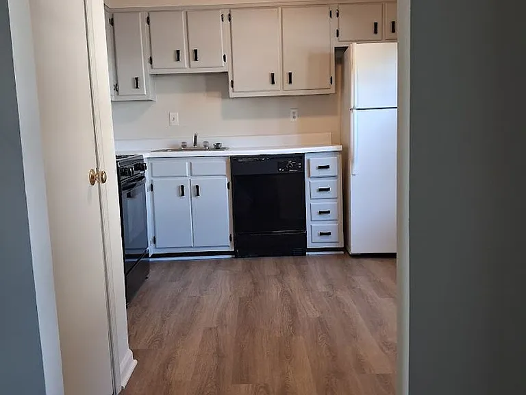 1116 Meadow Sage Ln — Photo 16