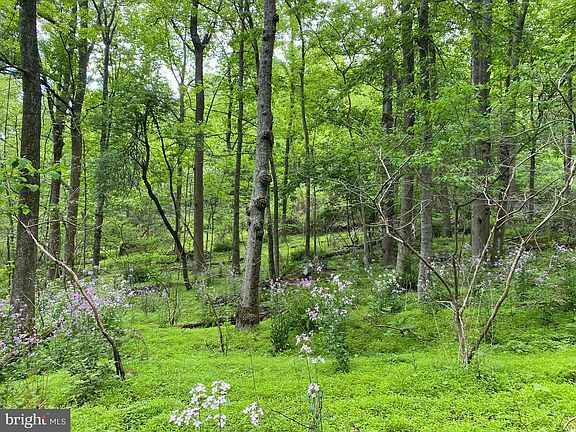 5th image of 12509 Stottlemyer Rd