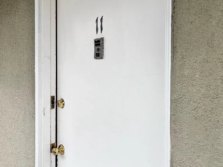2835 Nina St #11 — Photo 1