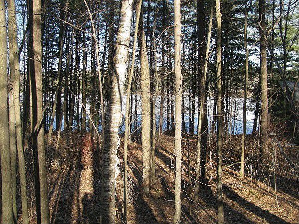 2nd image of 0 Hadlock Pond Rd