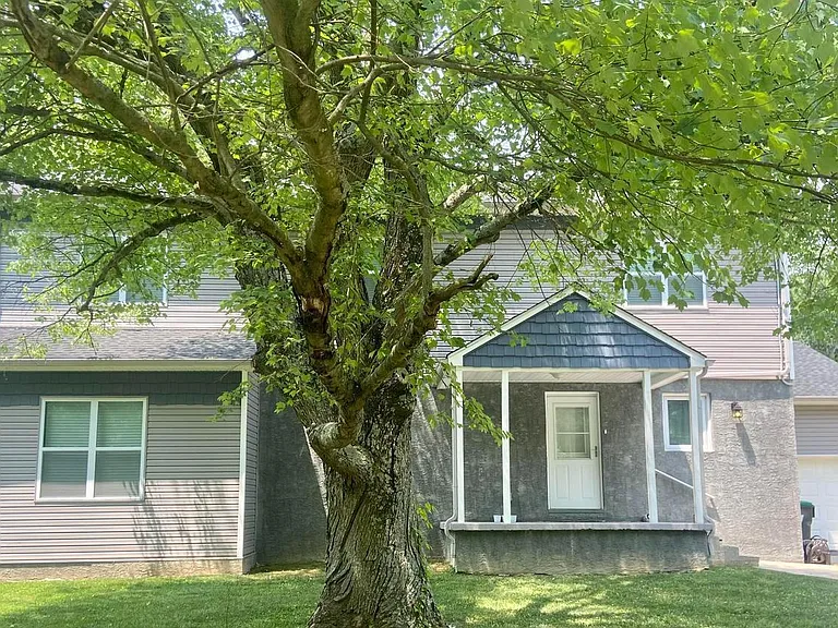 3009 Frenchtown Rd — Photo 40