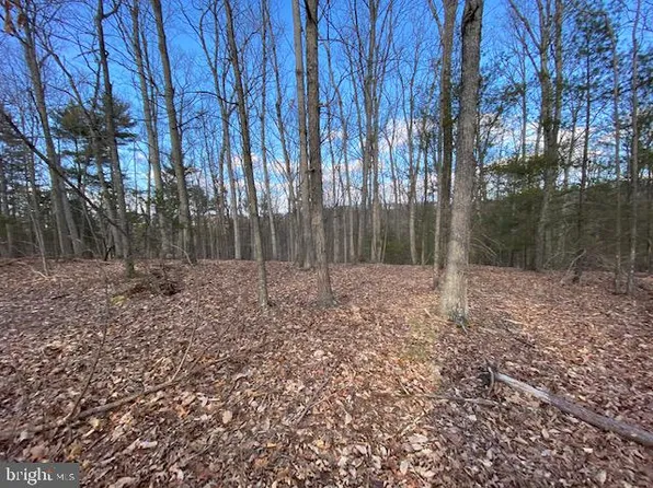 25 Slate Rock Pass Rd, Wardensville, WV 26851