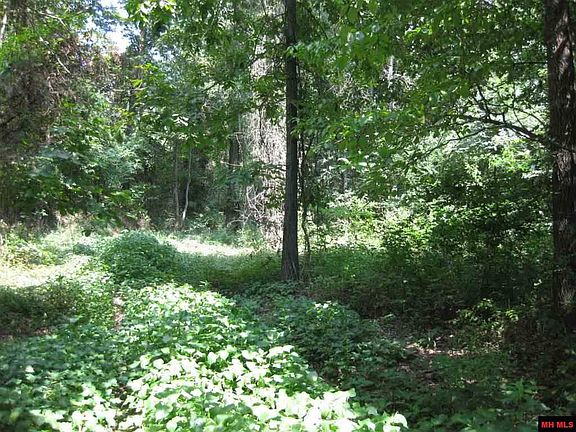 2nd image of 225 County Road 634
