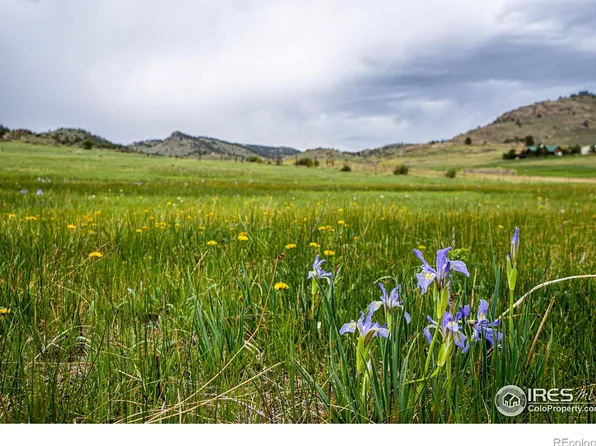 816 Meadow Way, Livermore, CO 80536