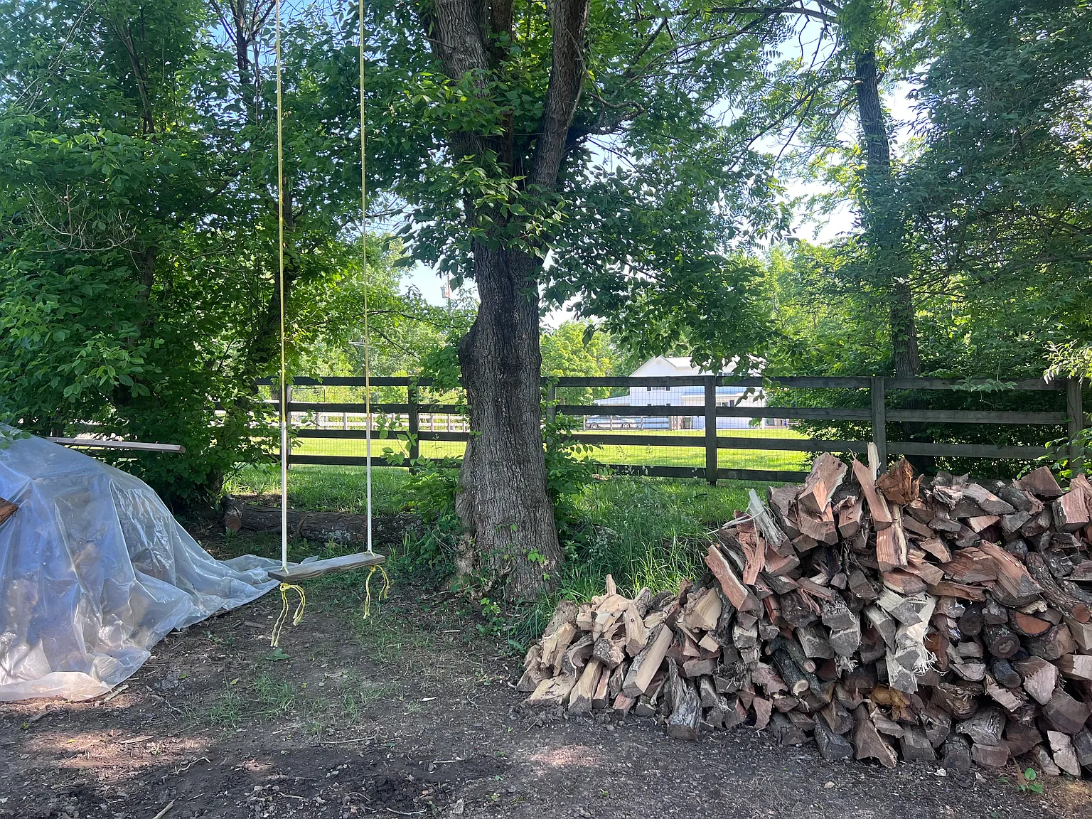 2 bed, 1000 sqft, $1,100 — Photo 4