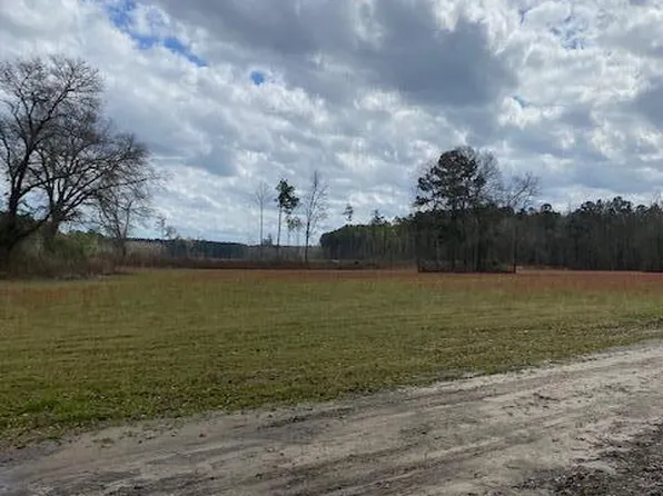 1 Saint Mark Bowman Rd, Saint George, SC 29477