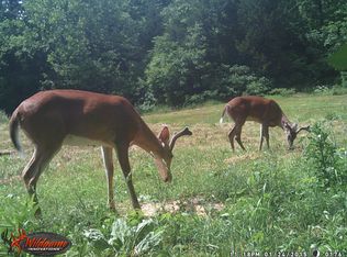 C Hwy, Potosi, MO 63664