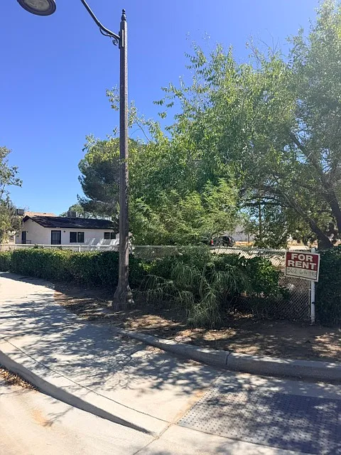 2 bed, 900 sqft, $1,750 — Photo 4