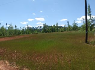 Bob Thomas Rd, Jackson, GA 30233