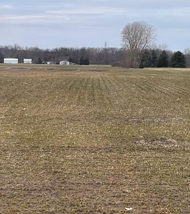 2nd image of 10393 Swan Creek Rd