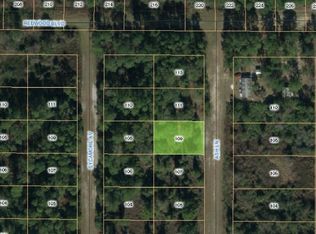 109 Ash Ln, Georgetown, FL 32139