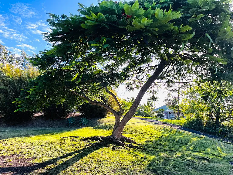 53-4033 Hiwahiwa Pl — Photo 27