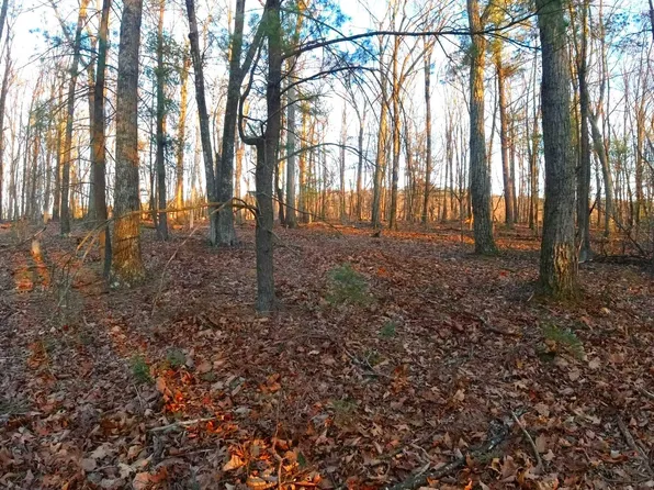 Tobacco Rd, Augusta, WV 26704
