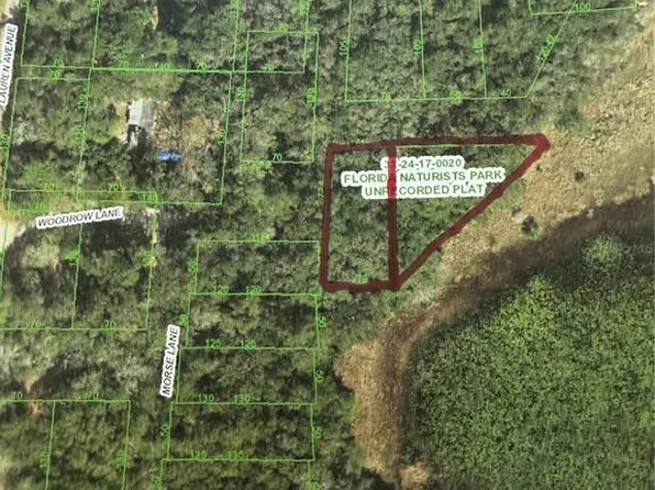 12236 Woodrow Ln #1, Hudson, FL 34669