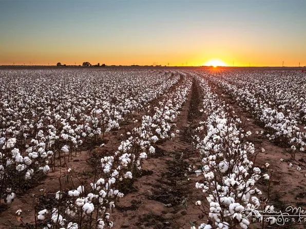 0 Fm 2334, San Angelo, TX 76905