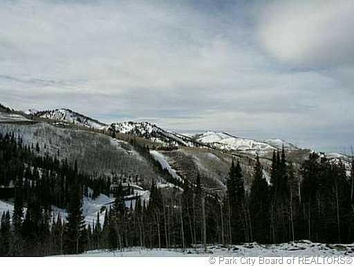 1st image of 221 White Pine Canyon Rd #V