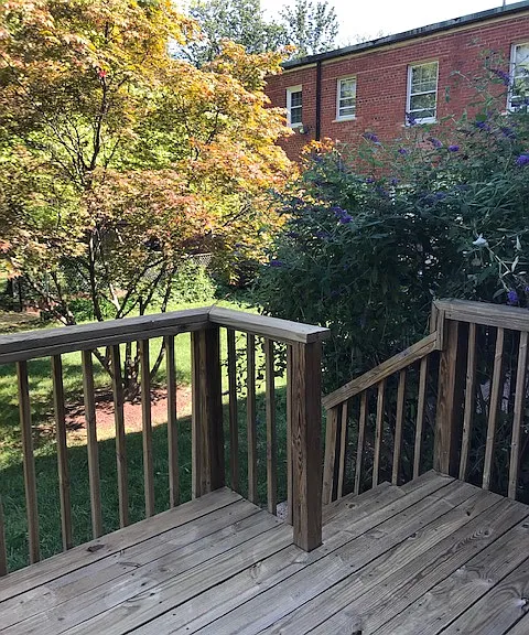 Back deck