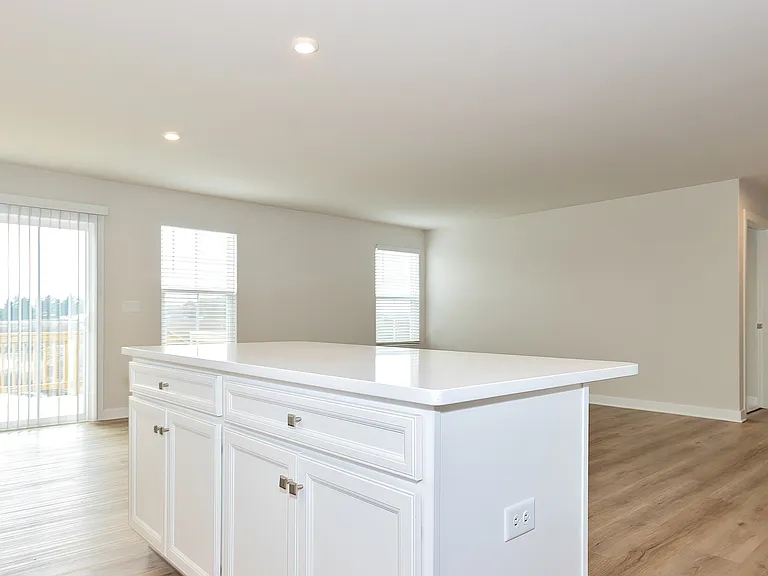 Modern Kitchen Elegance