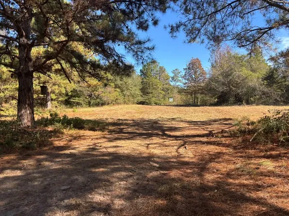 470 County Road 1, Banks, AL 36005