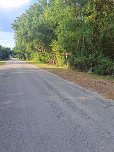 0 Roosevelt Ave #48-49, Gibsonton, FL, 33534