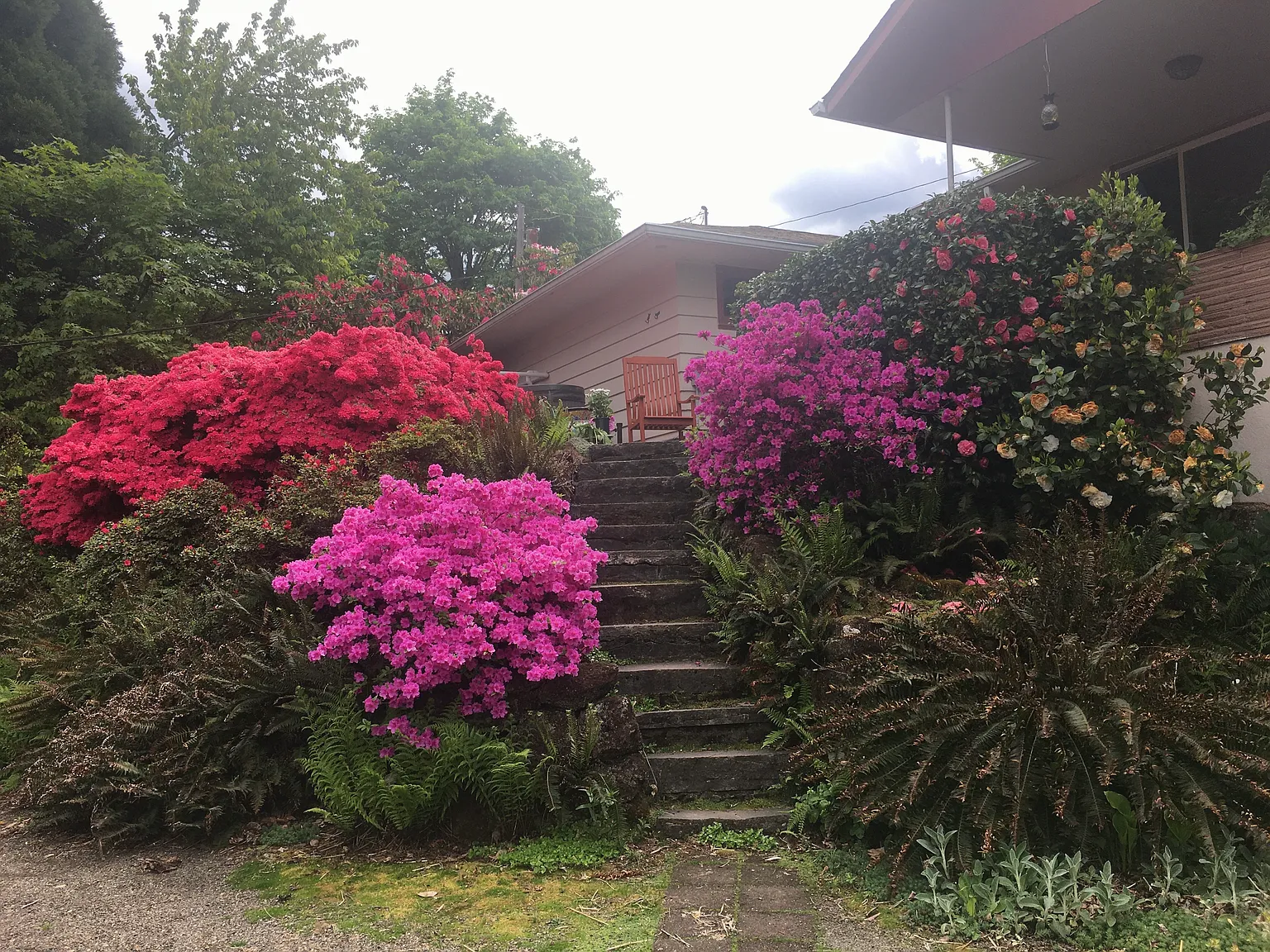 SE 118th Pl, Portland — Photo 4