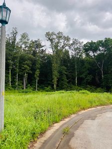 20 Cascade Dr, Florence, AL, 35633