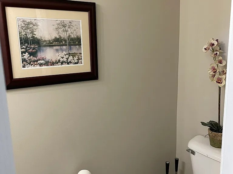 Downstairs Half Bath