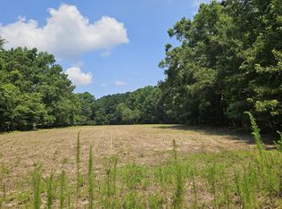 LOT 2A M W Rickenbaker Rd, Summerton, SC 29148