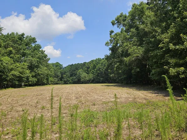 LOT 2A M W Rickenbaker Rd, Summerton, SC 29148