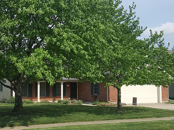 Mature shade trees