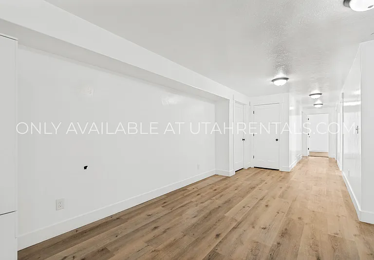 1076 Bear Hollow Ln #BASEMENT — Photo 4