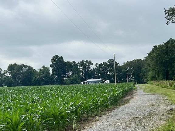 4th image of 223 Baer Ln