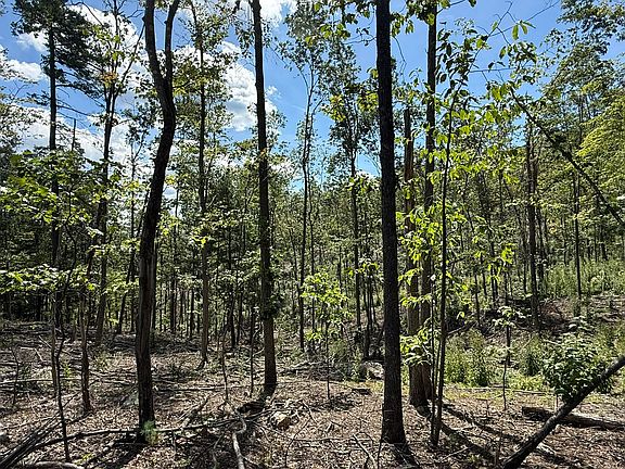 4th image of Honey Hollow Rd