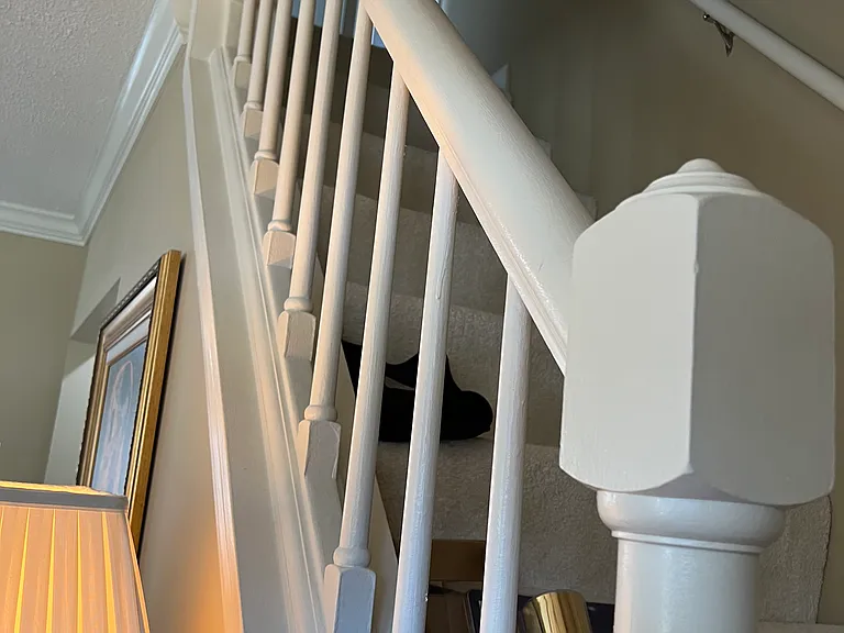 3121 Clifford Ave — Photo 12