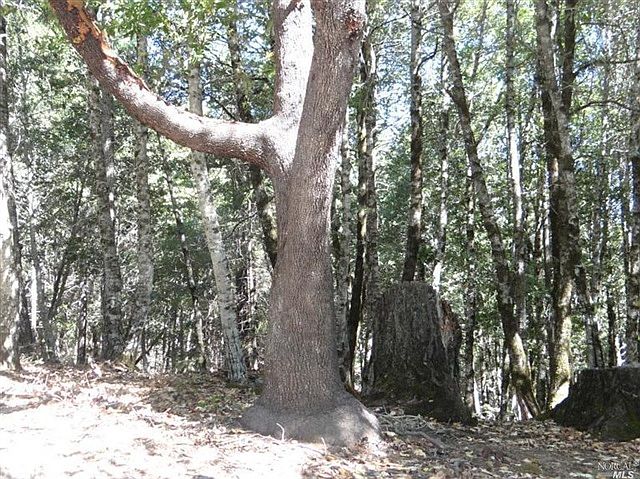 2nd image of 2182 Goose Rd
