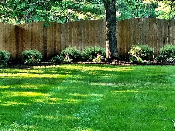 Privacy Fenced Back Yard