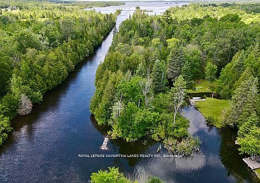 4th image of 81 McGuire Beach Rd