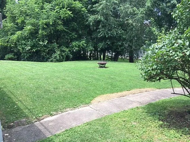 413 Orchard Ave — Photo 4