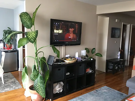 Rented by Amorelli Realty | media 15