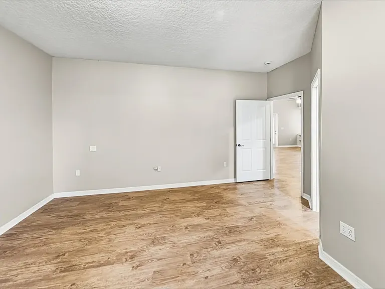 3870 Elizabeth Springs Way — Photo 7