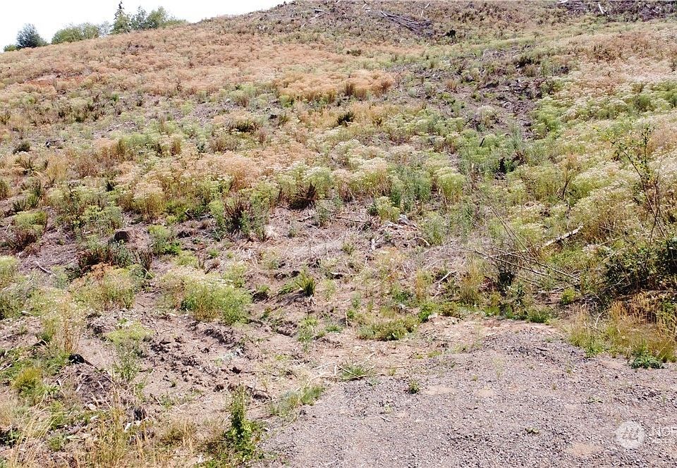 2nd image of 0 Goble Creek Lot #D