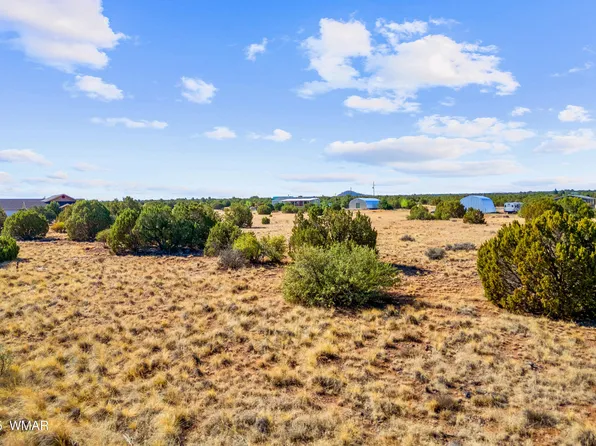 8487 Alpine Pl, Show Low, AZ 85901