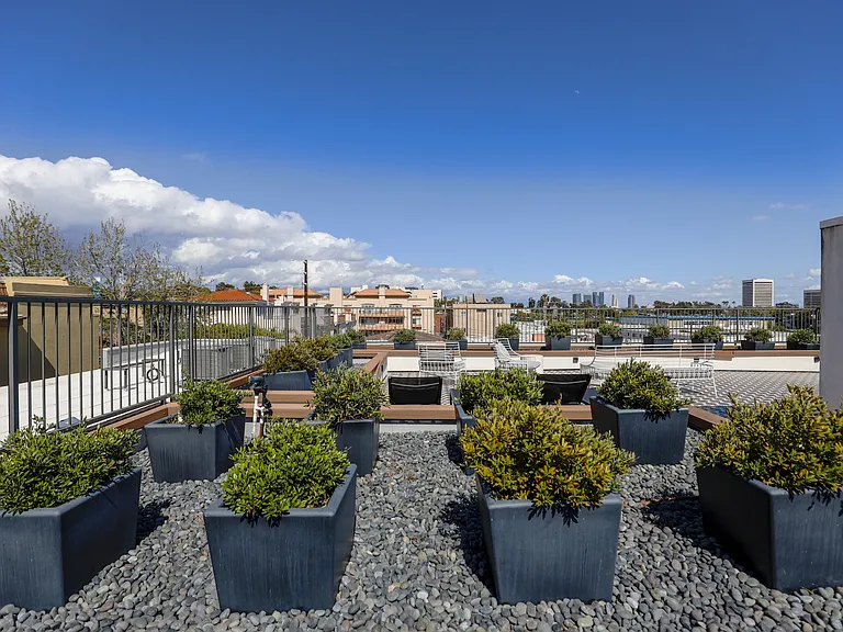 Rooftop Deck Views