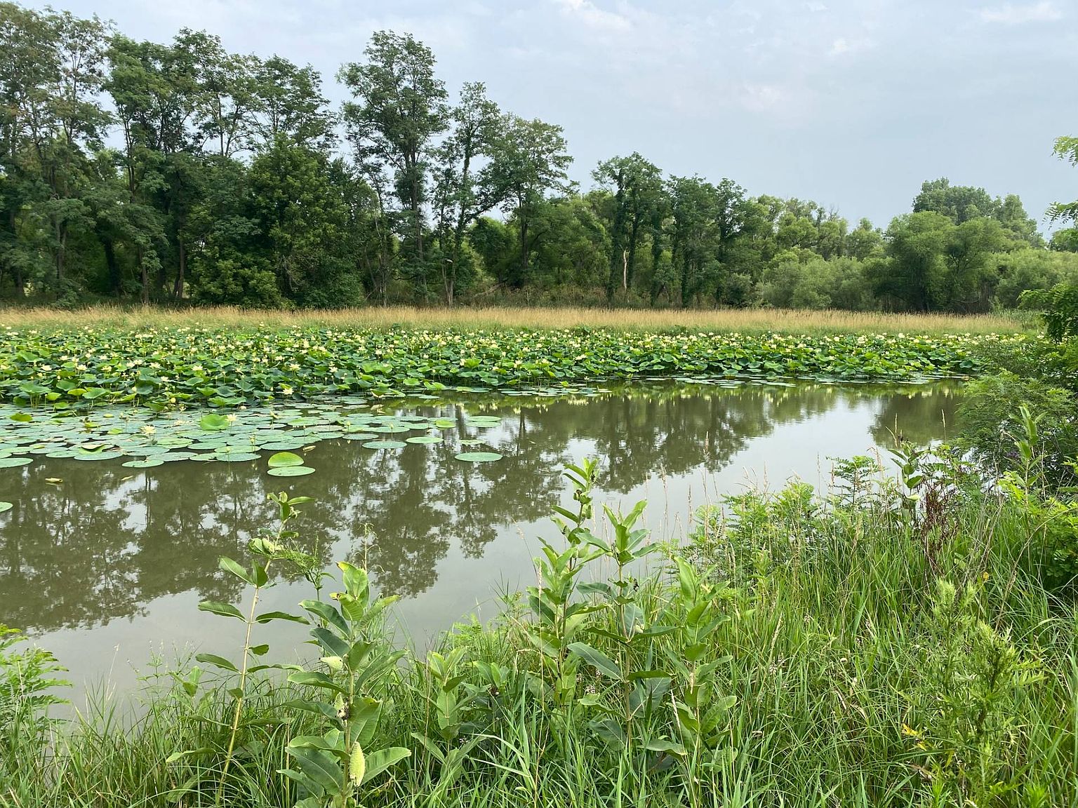 LOT 20 Highland Dr, Moravia, IA 52571 MLS 11192290 Zillow