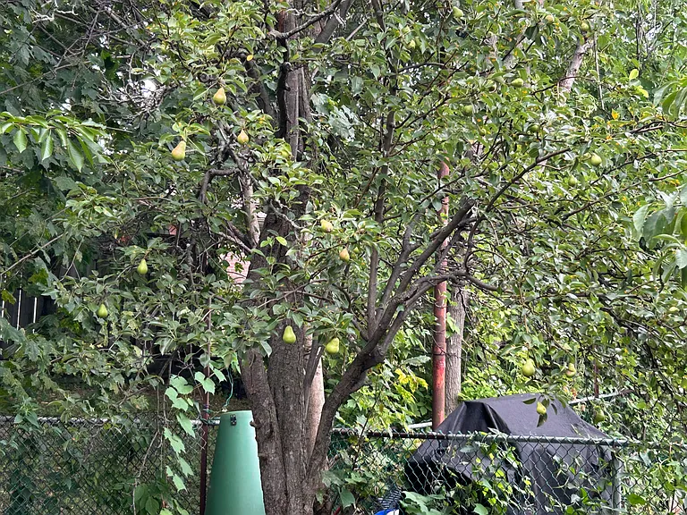 Tammy Ln — Photo 20