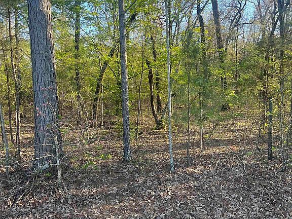 5th image of Hoover Ln