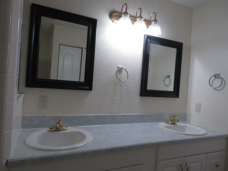 Master Bath Sinks