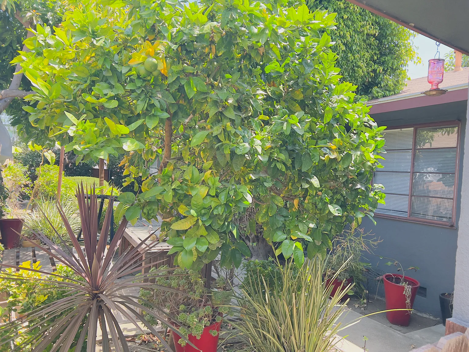 1 bed, 540 sqft, $2,450 — Photo 3
