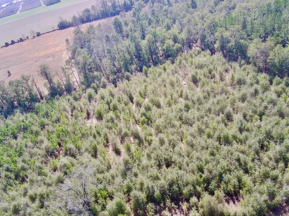 0 Veterans Rd, Springfield, SC 29146